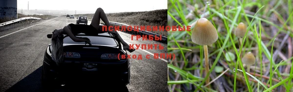 гидра Абинск